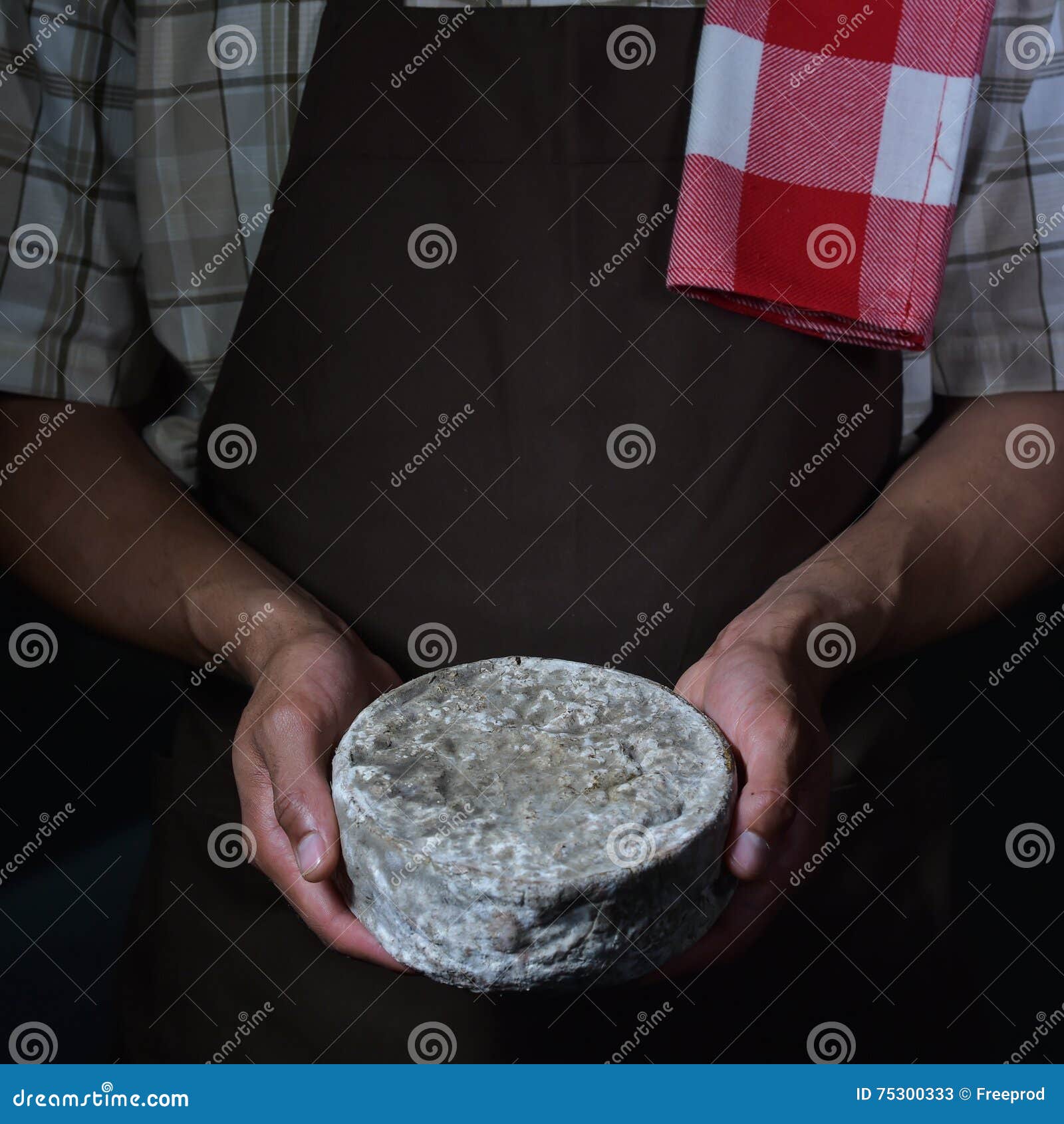 French Tomme Cheese in the Hands of a Cheesemaker Stock Image Image