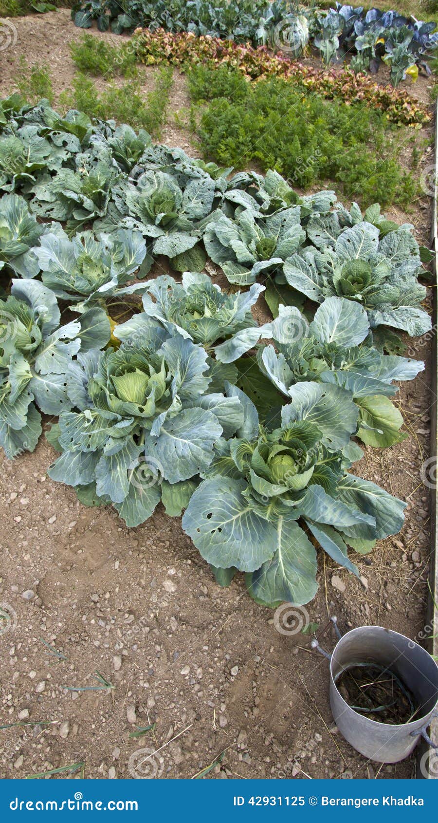 french vegetable garden