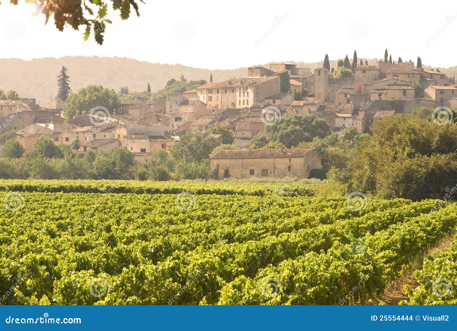 French Village in Sunset, with Vineyard. Stock Photo Image of