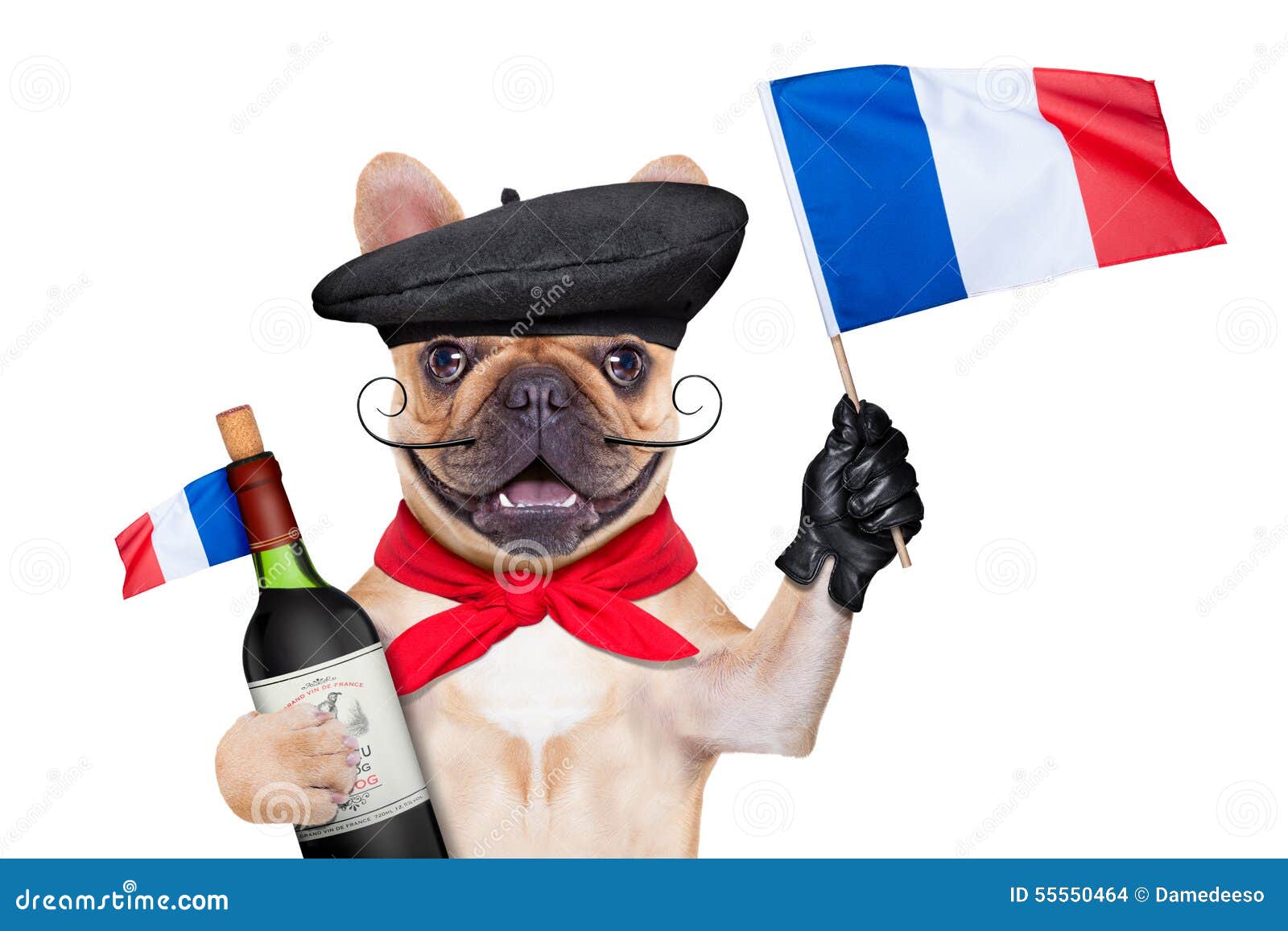 French wine dog stock photo. Image of card, french, joke - 55550464