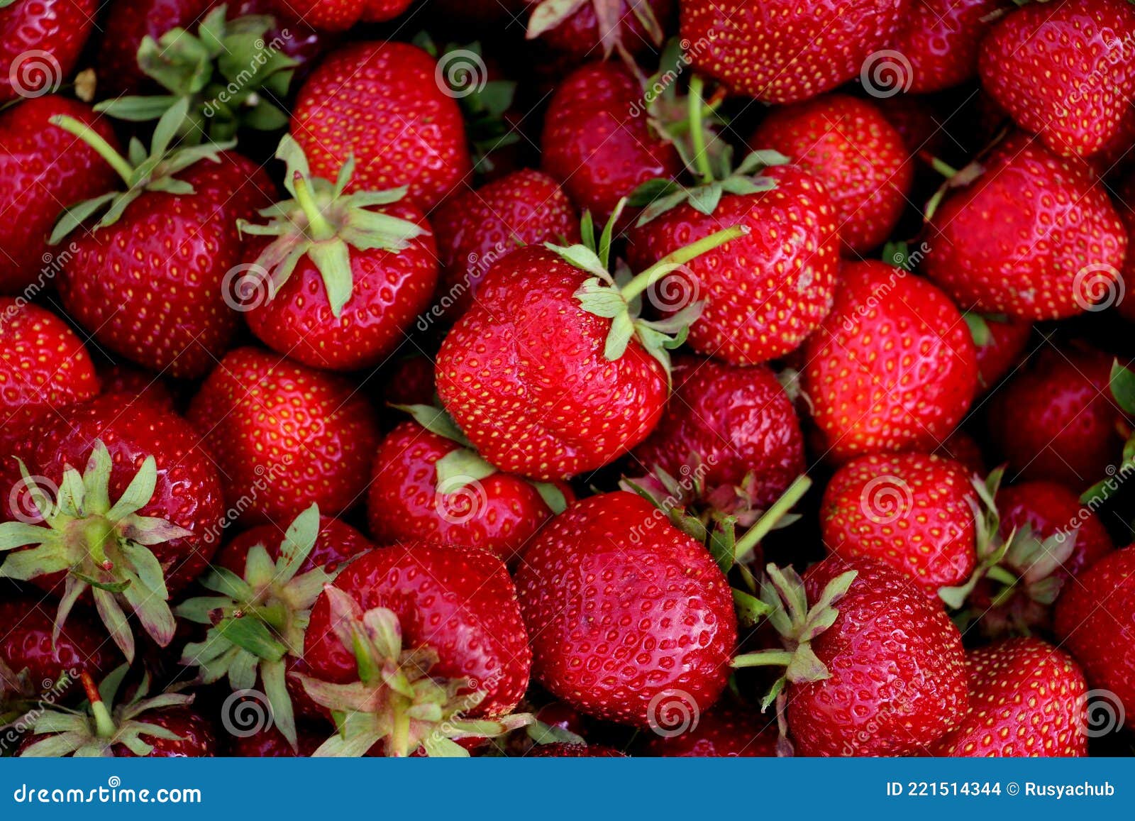 https://thumbs.dreamstime.com/z/fresa-roja-dulce-cosecha-de-fresas-frescas-en-junio-caja-con-berry-madura-trabajo-manual-el-jard%C3%ADn-221514344.jpg