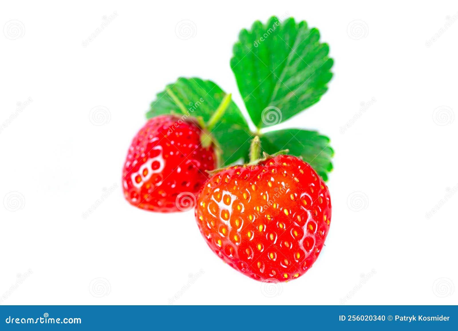 Fresas Con Hojas Aisladas En Fondo Blanco Foto de archivo Imagen de