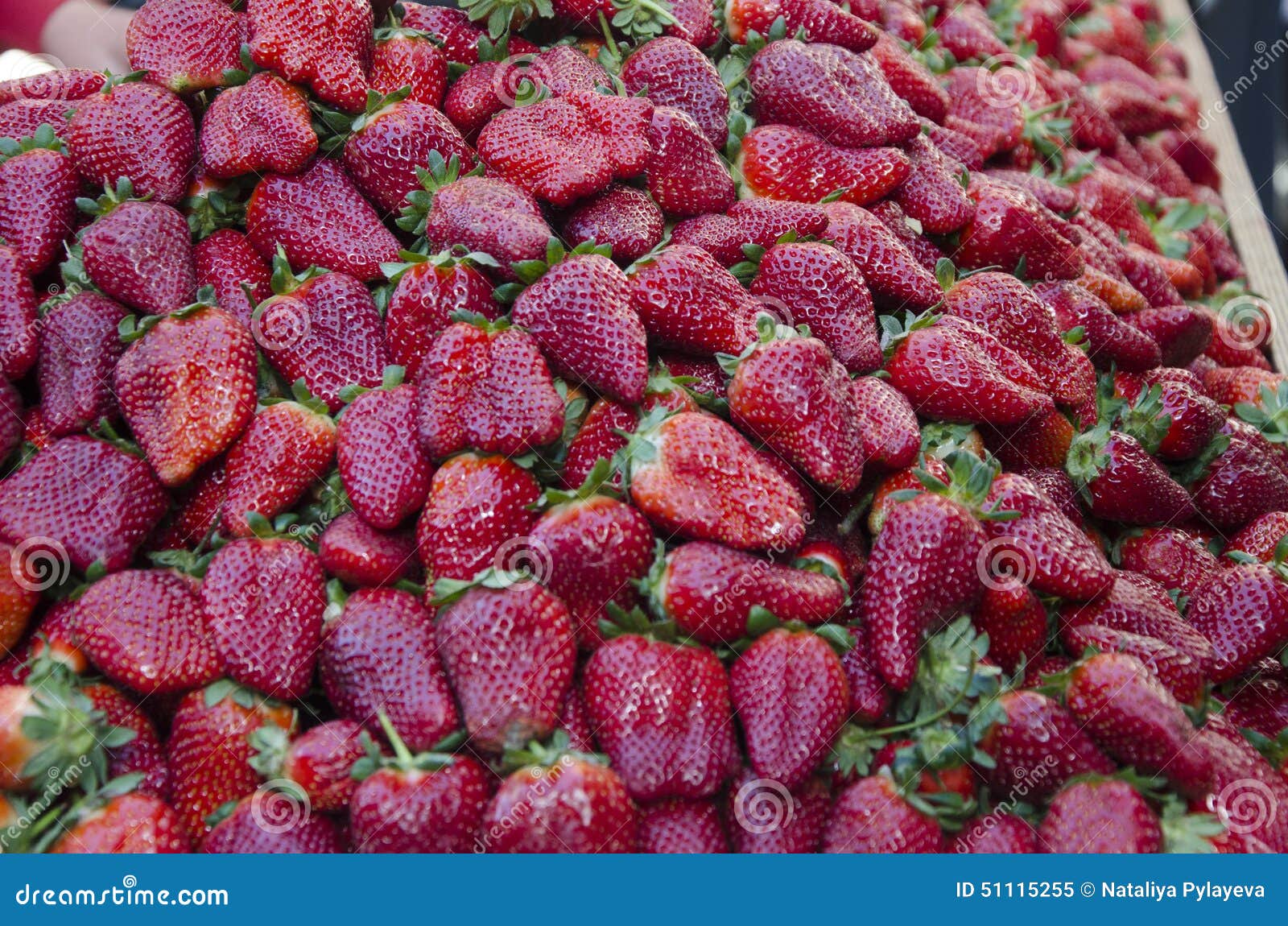 Fresas Frescas En El Mercado En La Jerusalén Vieja, Israel Imagen de  archivo - Imagen de fondo, granja: 51115255