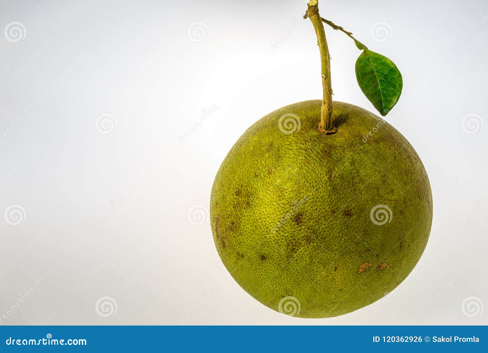 Fresco De La Fruta Del Pomelo Foto de archivo Imagen de colorido