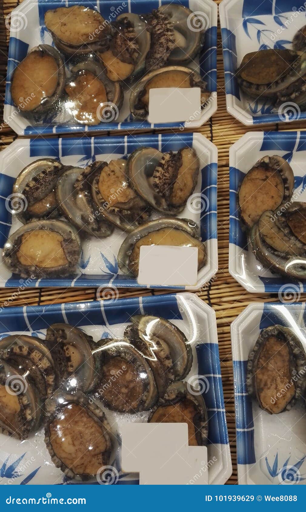 Fresh abalone stock image. Image of live, natural, marine 101939629