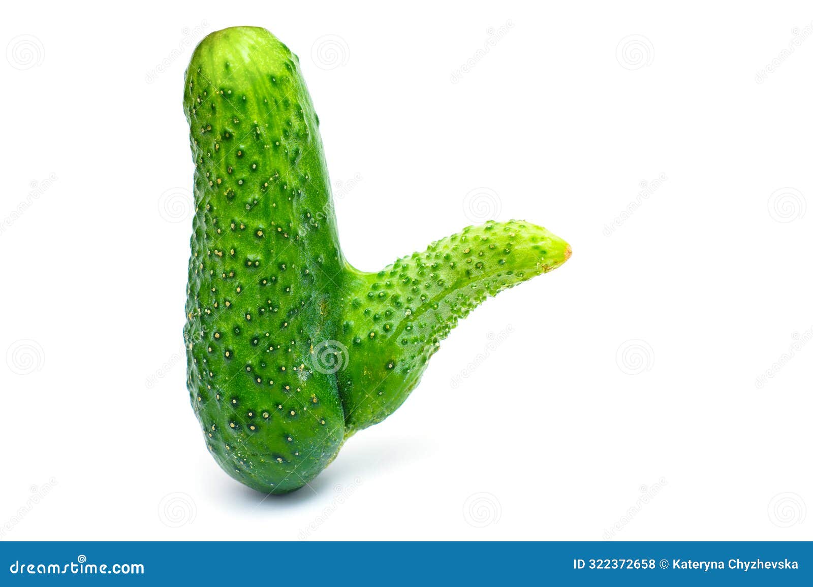 fresh abnormal cucumber with penis-like  deviation