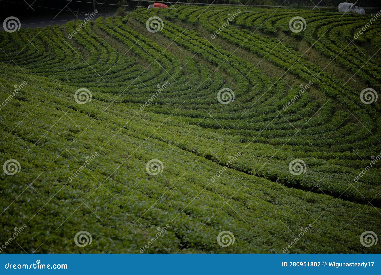 Fresh Air Make You Fell Better, Keep this Air Fresh Stock Photo Image