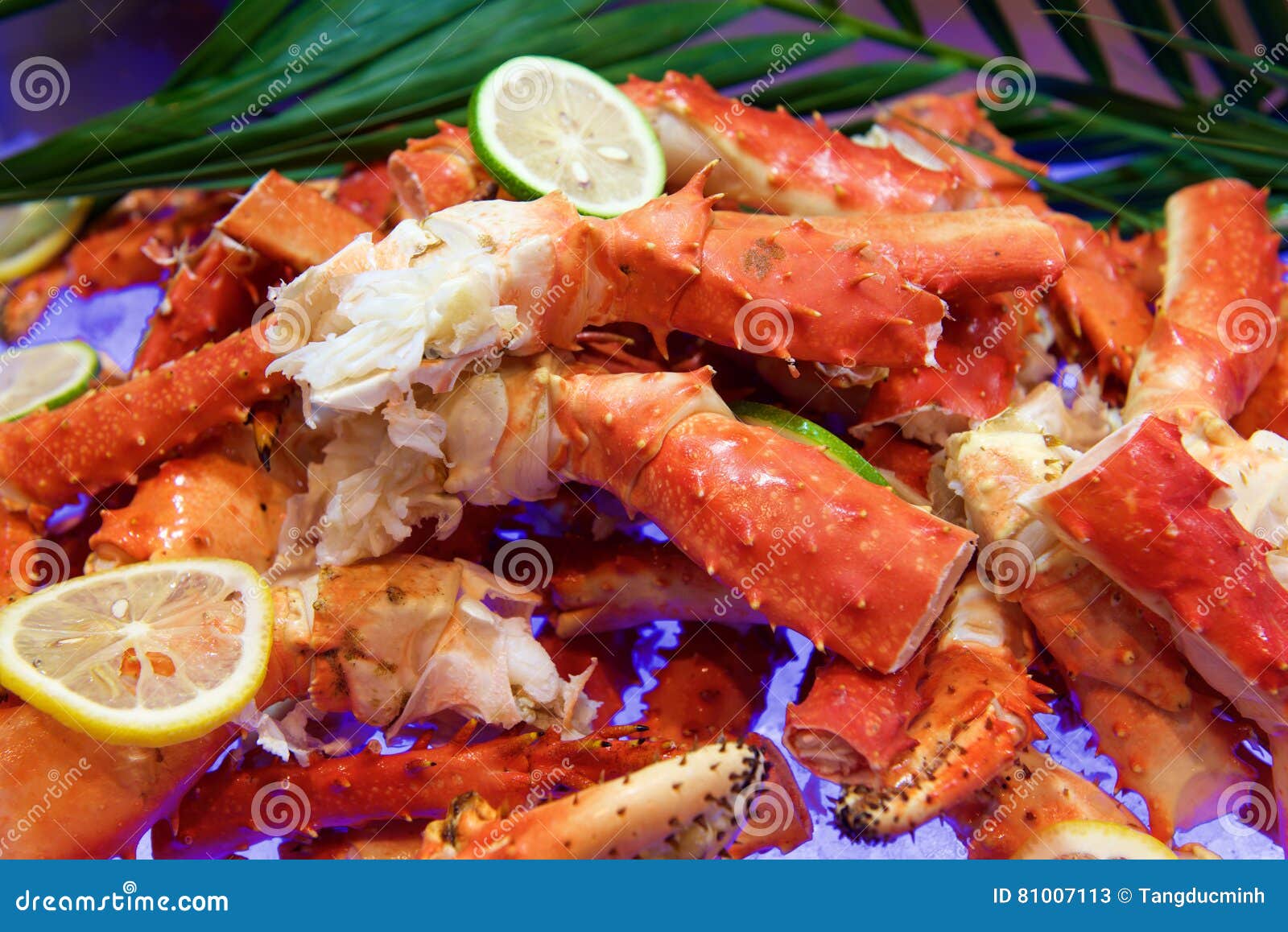 Fresh Alaskan King crab stock image. Image of gourmet 81007113