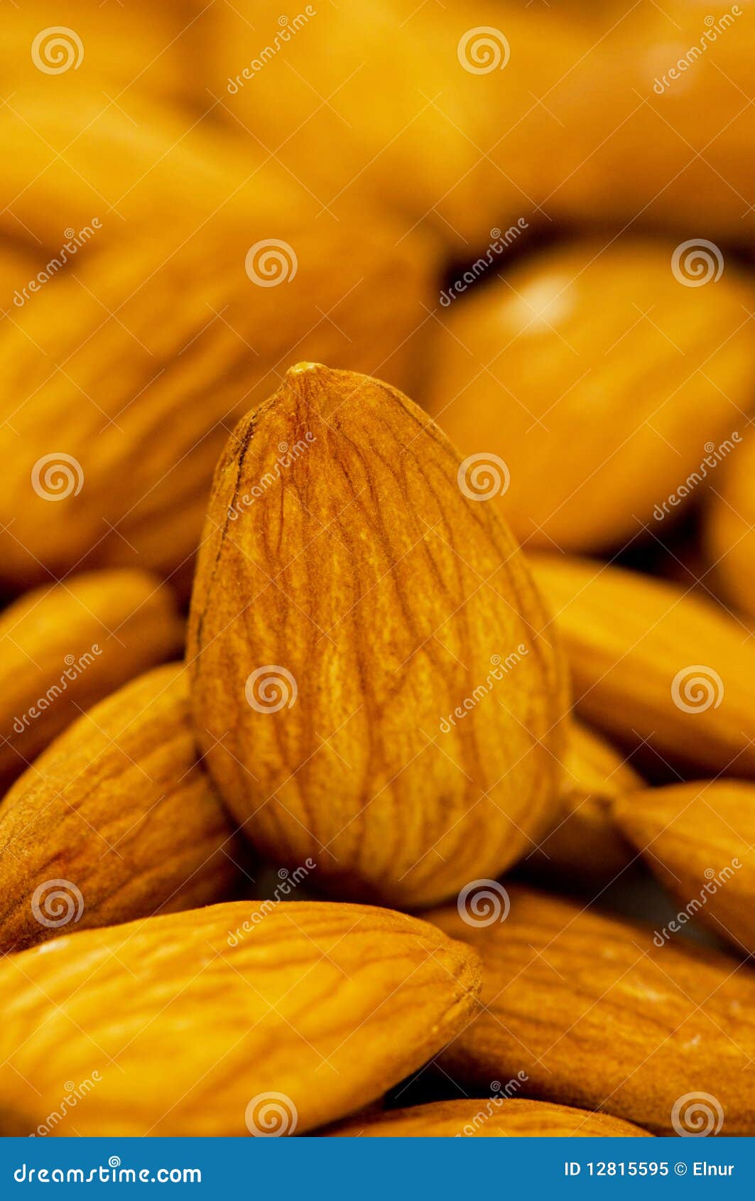 Fresh almonds arranged stock image. Image of healthy 12815595