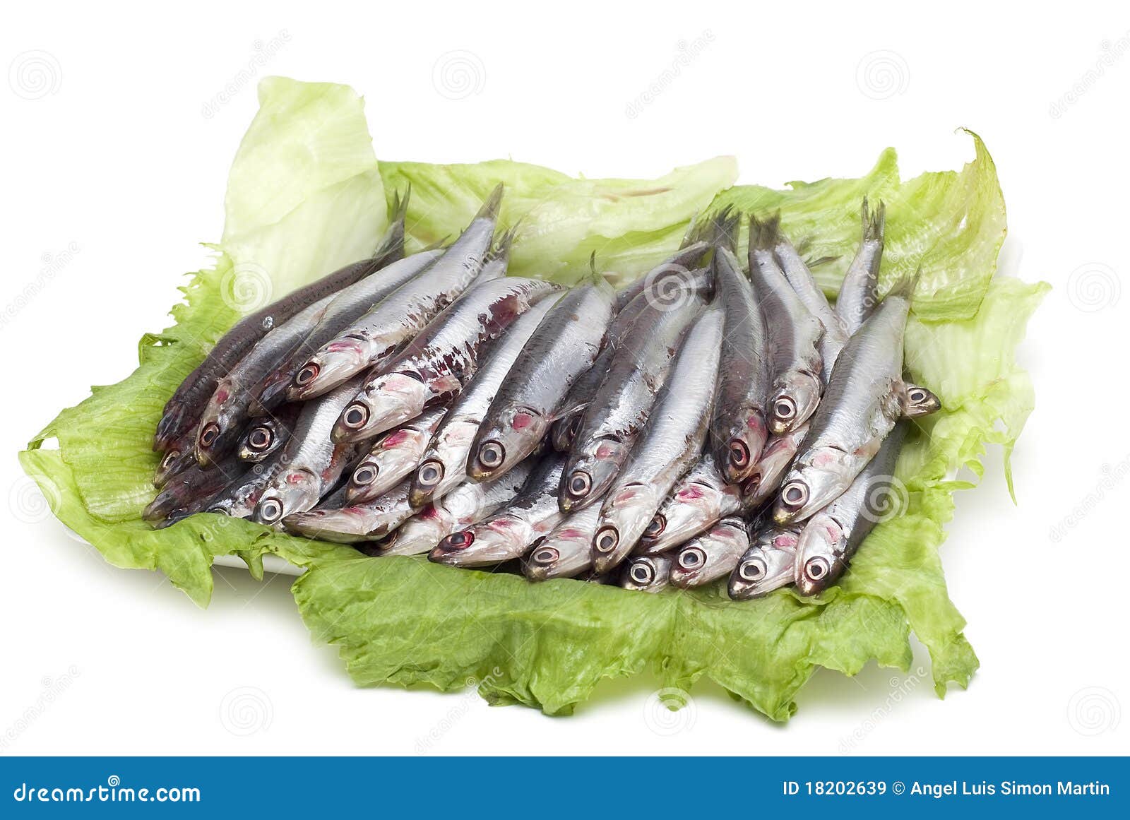 Fresh anchovies on a try. stock image. Image of ingredient 18202639
