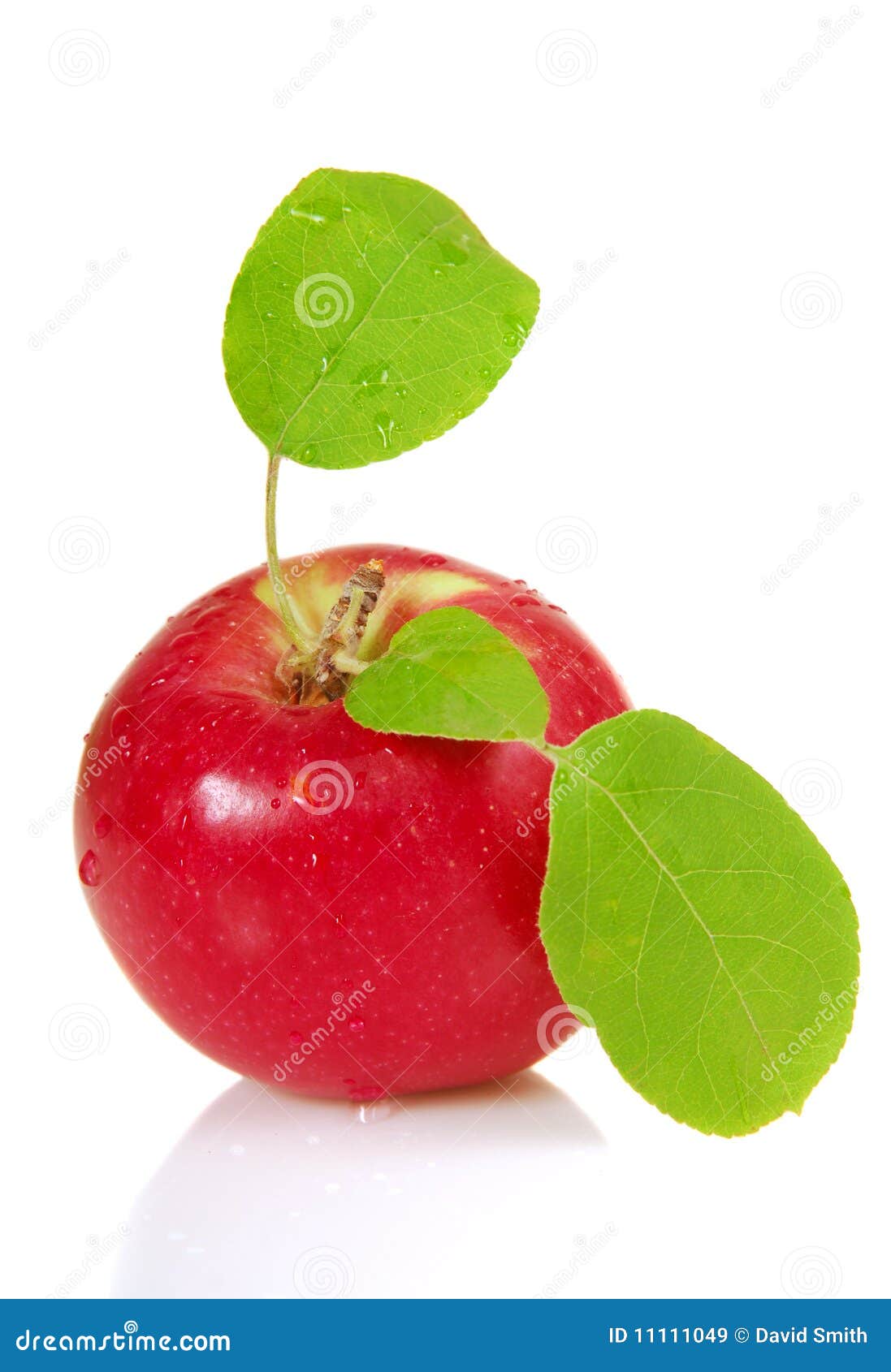 Fresh apple with leaves stock image. Image of delicious 11111049