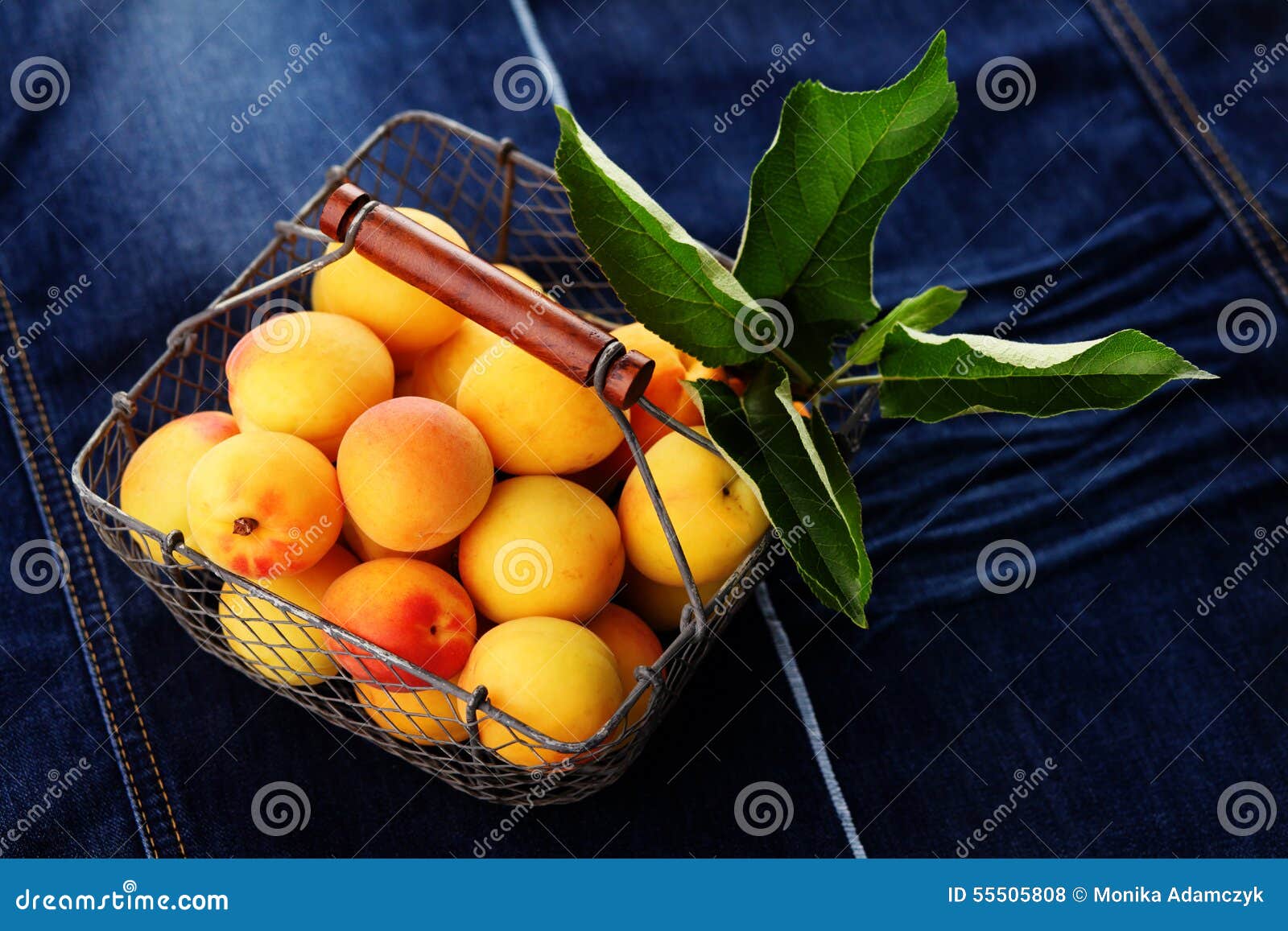Fresh apricots stock photo. Image of group, juicy, fresh 55505808