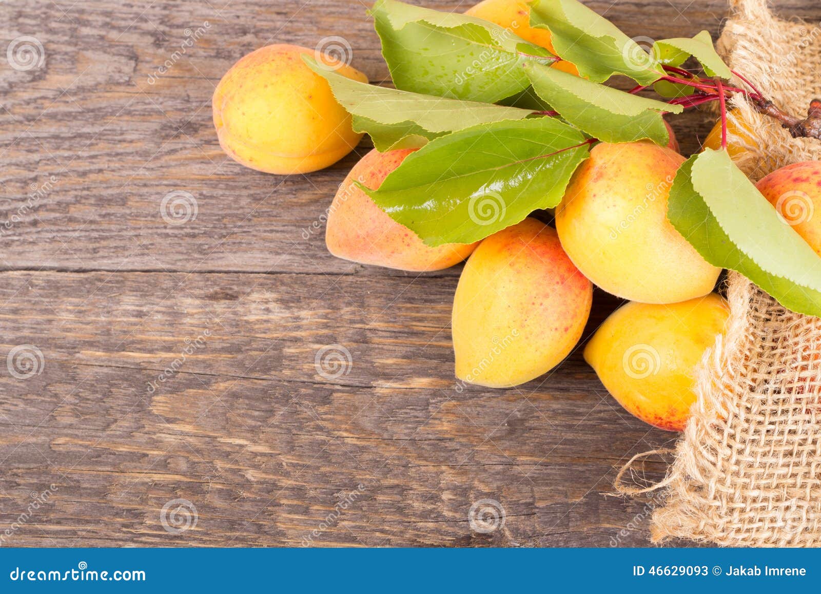Fresh Apricots With Leaf Stock Image Image Of Farmland 46629093
