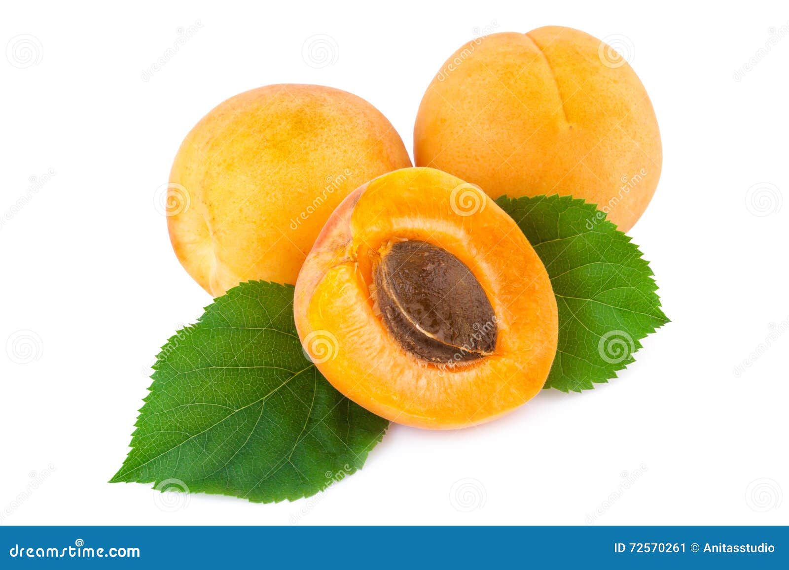 Fresh Apricots with Leaves on White Stock Image Image of fruit