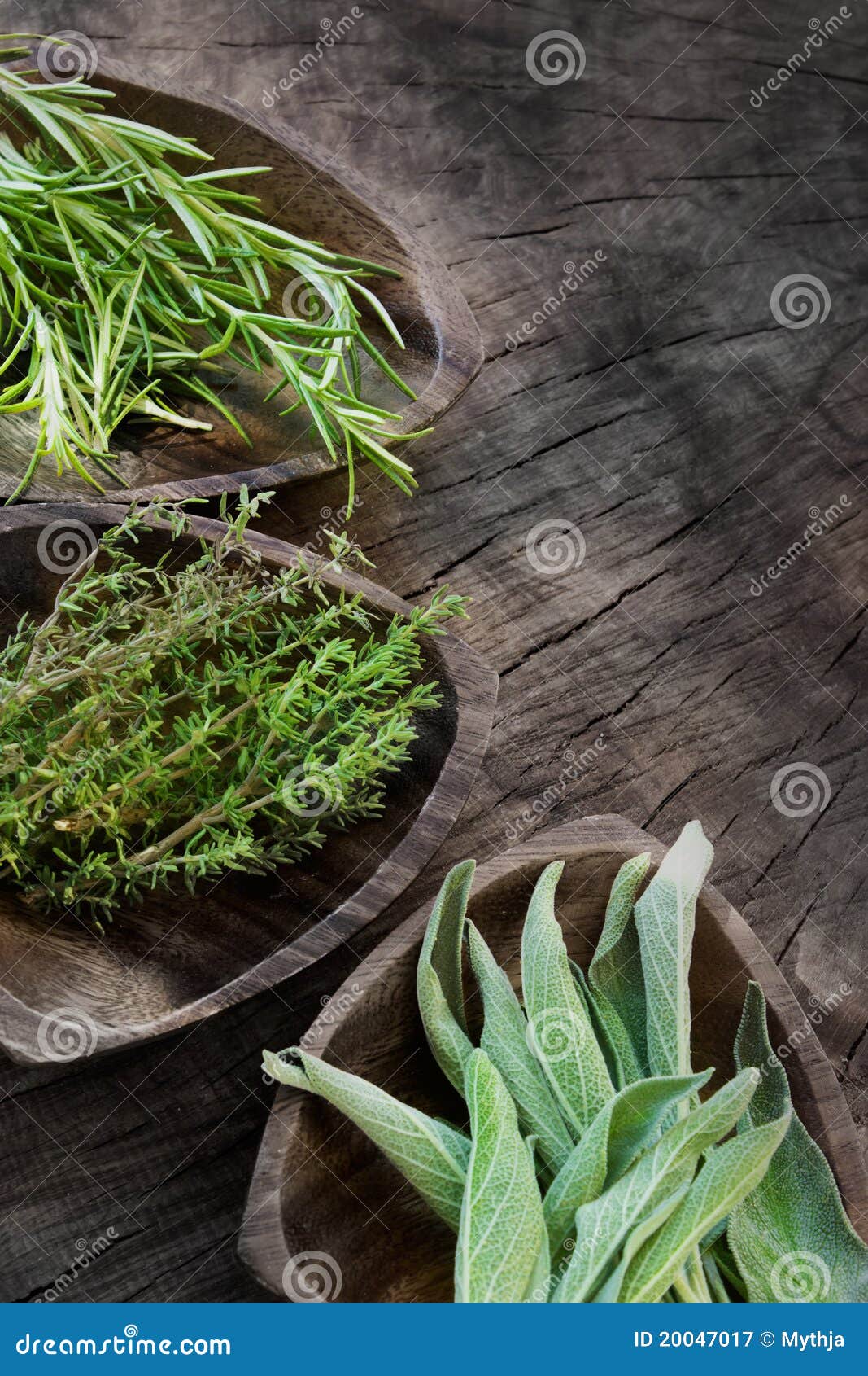 fresh aromatic herbs