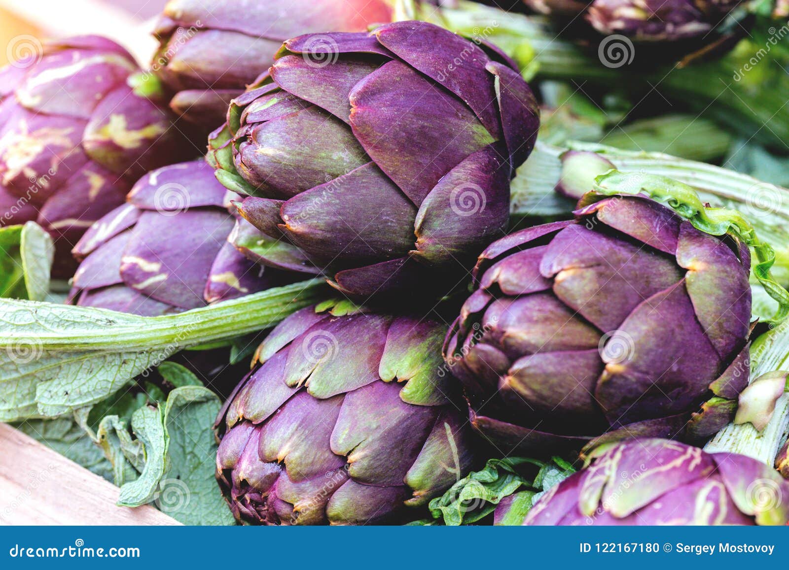 artichoke