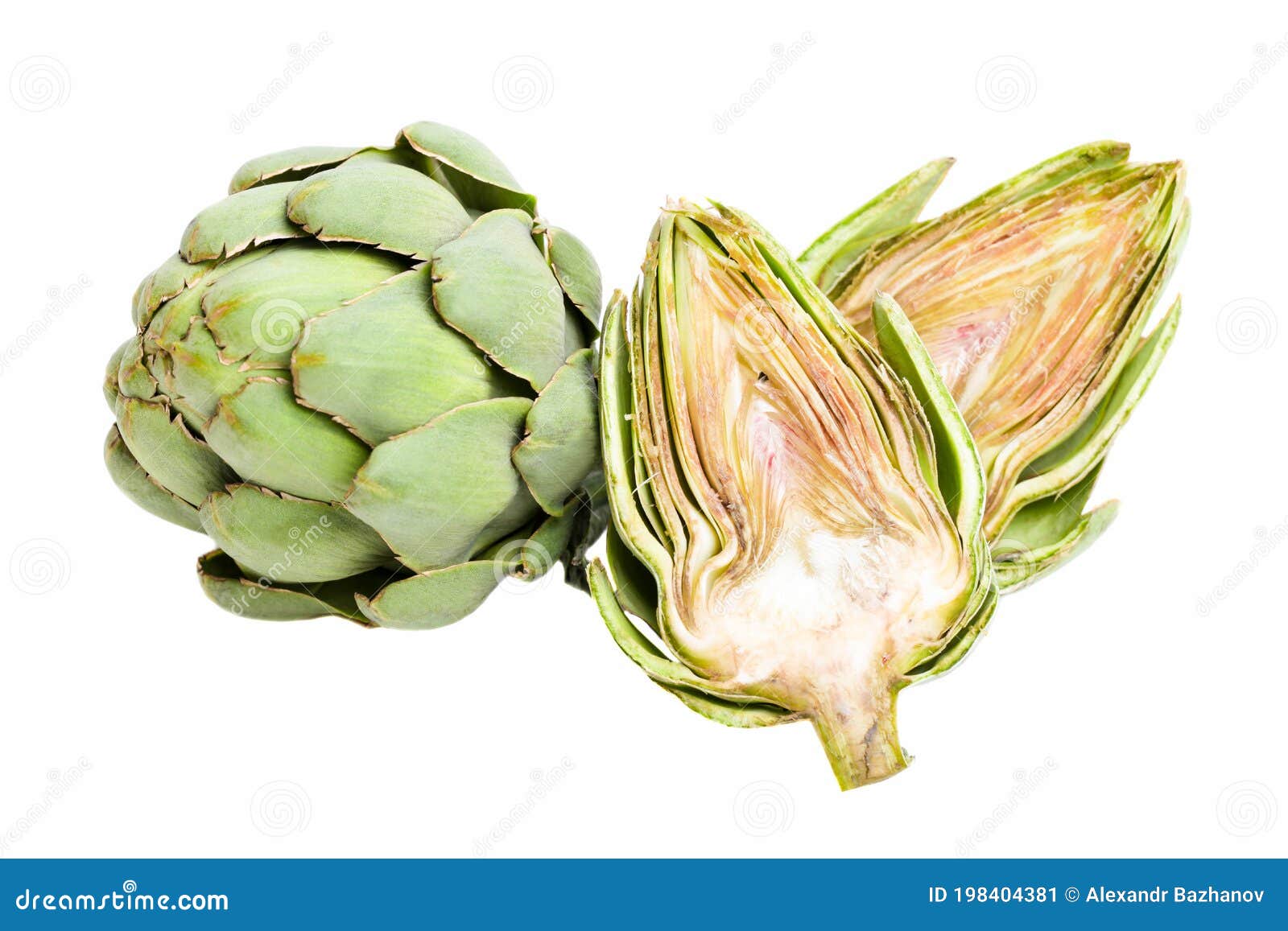 Fresh artichoke isolated stock image. Image of closeup 198404381