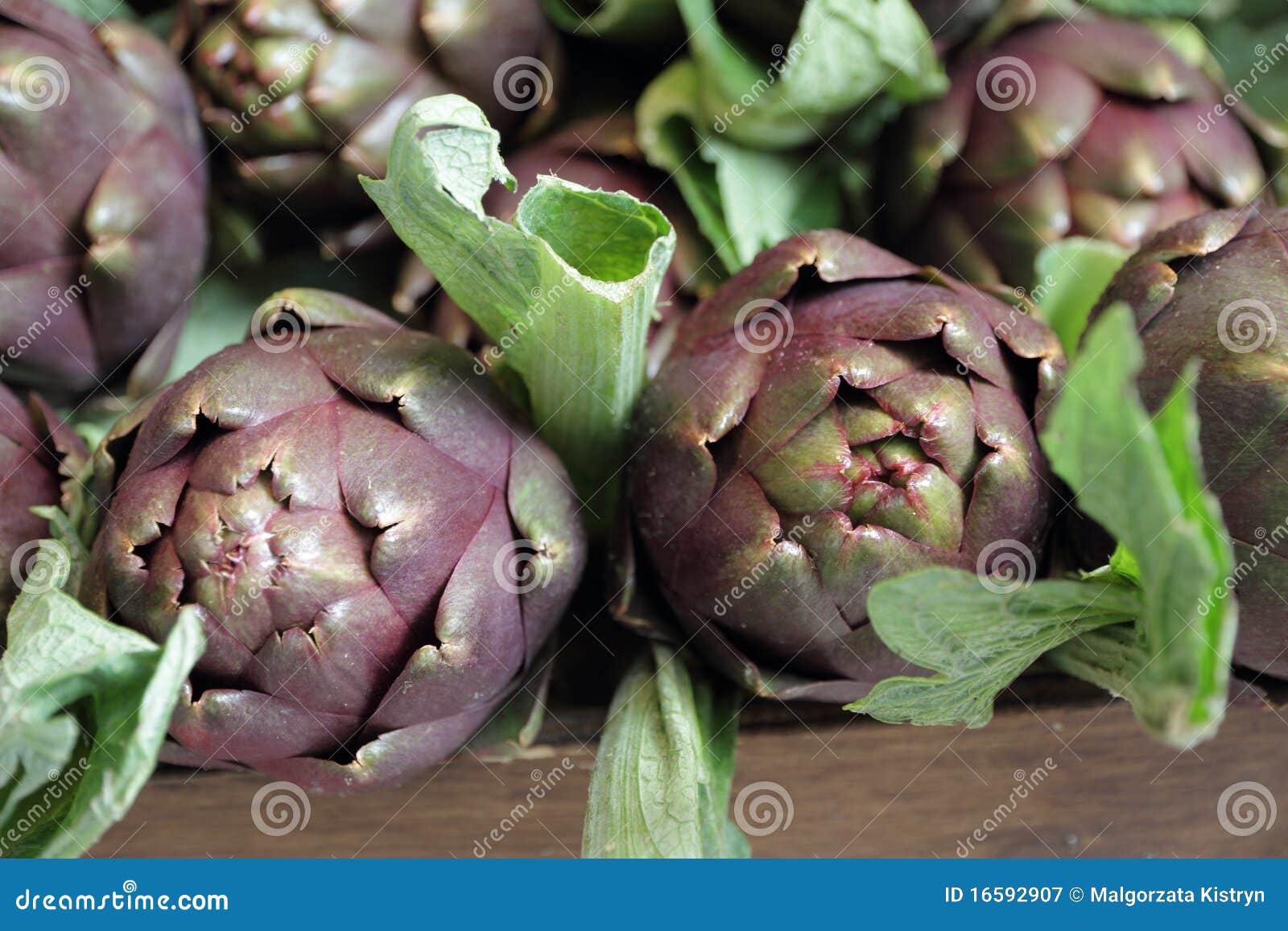 Fresh Artichoke on Italian Stall Stock Image Image of agriculture