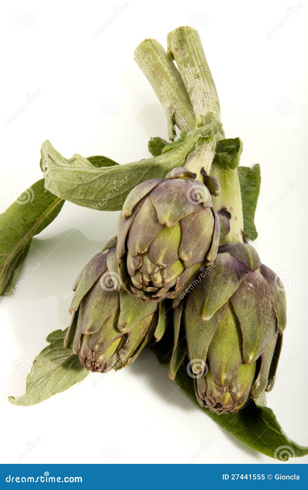 Fresh artichokes stock image. Image of flower, vegetable 27441555