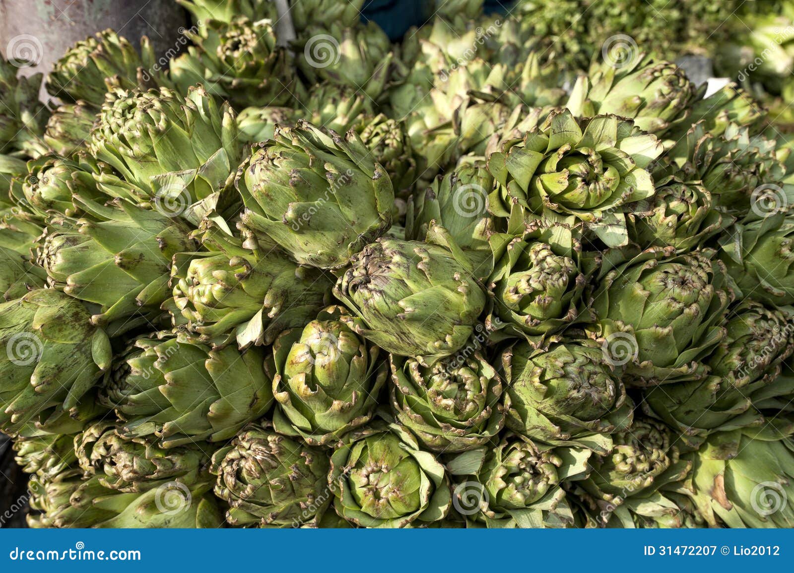 Fresh artichokes stock image. Image of nature, fresh 31472207