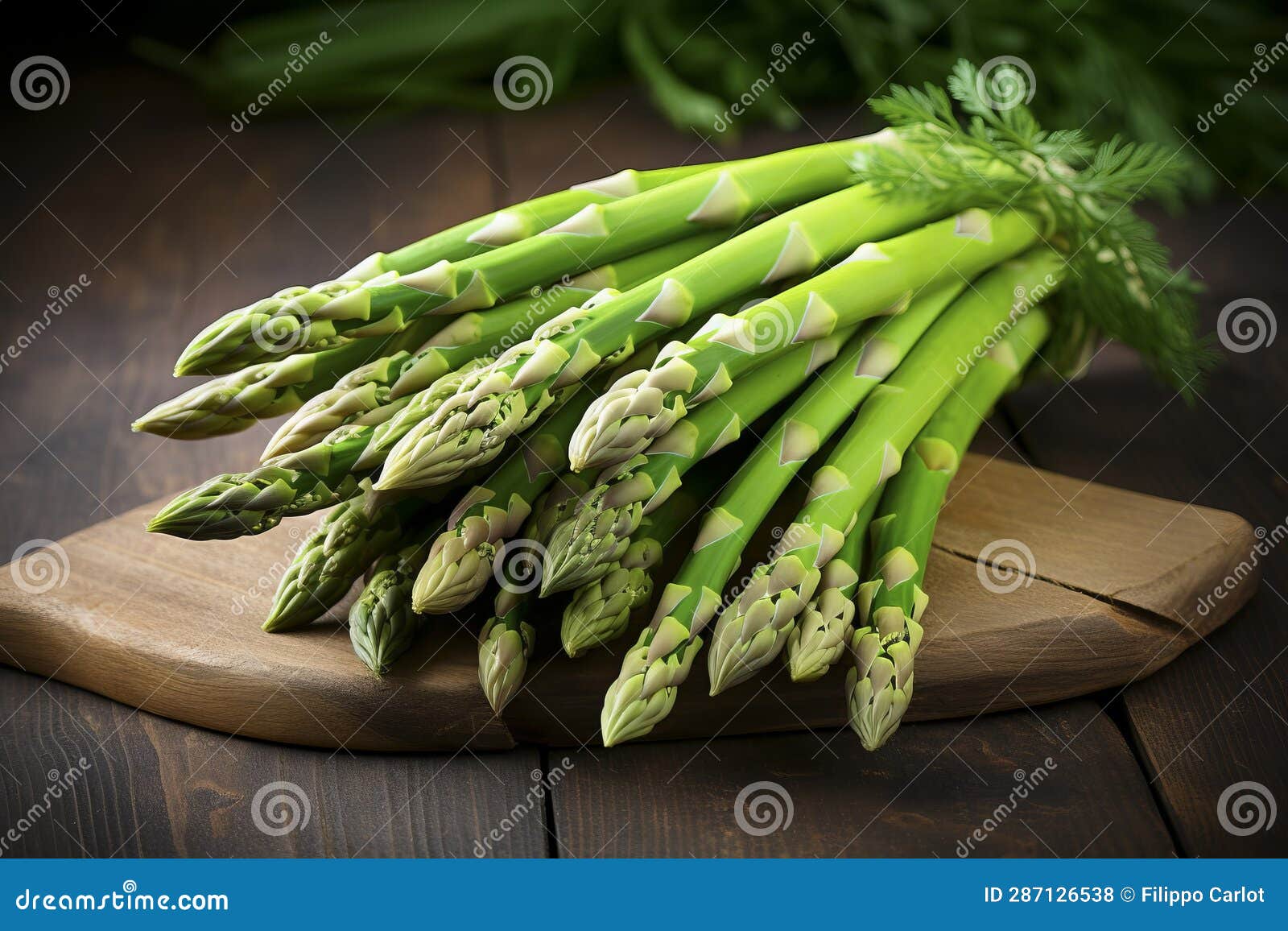 Fresh Asparagus Bundle stock illustration. Illustration of nutrition 287126538