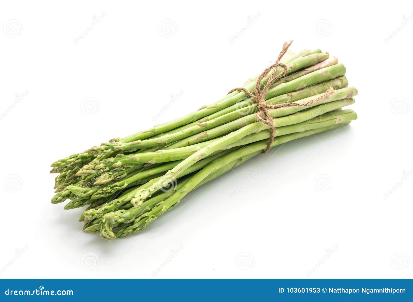 Fresh Asparagus Isolated on White Stock Image Image of ingredient, diet 103601953