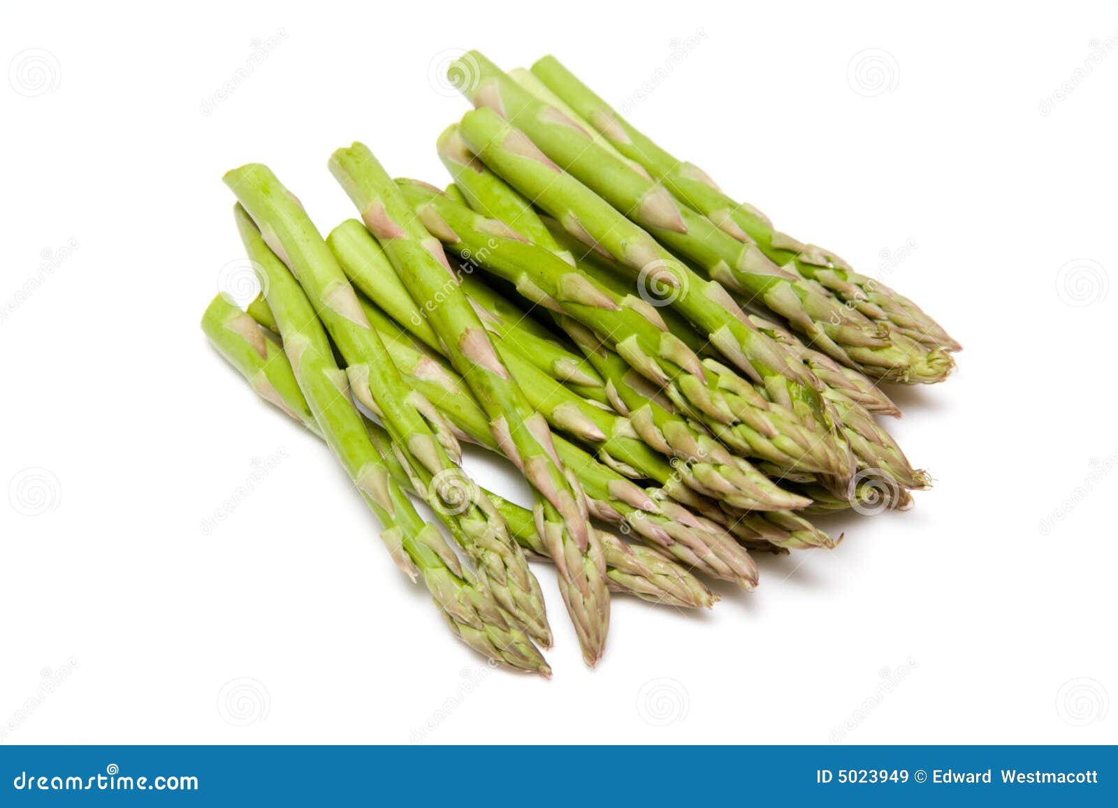 Fresh asparagus spears stock image. Image of shoots, asparagus 5023949