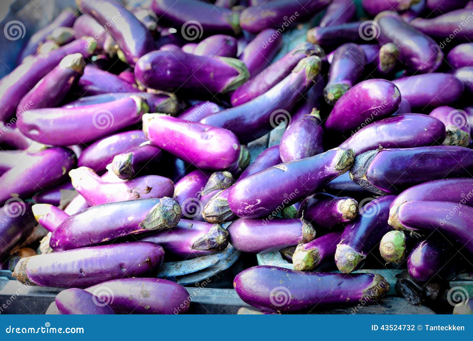 Fresh Aubergines (eggplant) Stock Photo Image of market, natural
