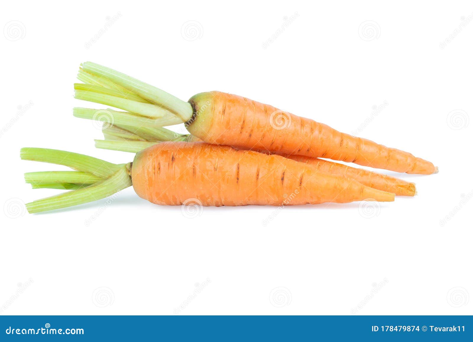 Fresh Baby Carrot Isolated on White Background with Clipping Path Stock