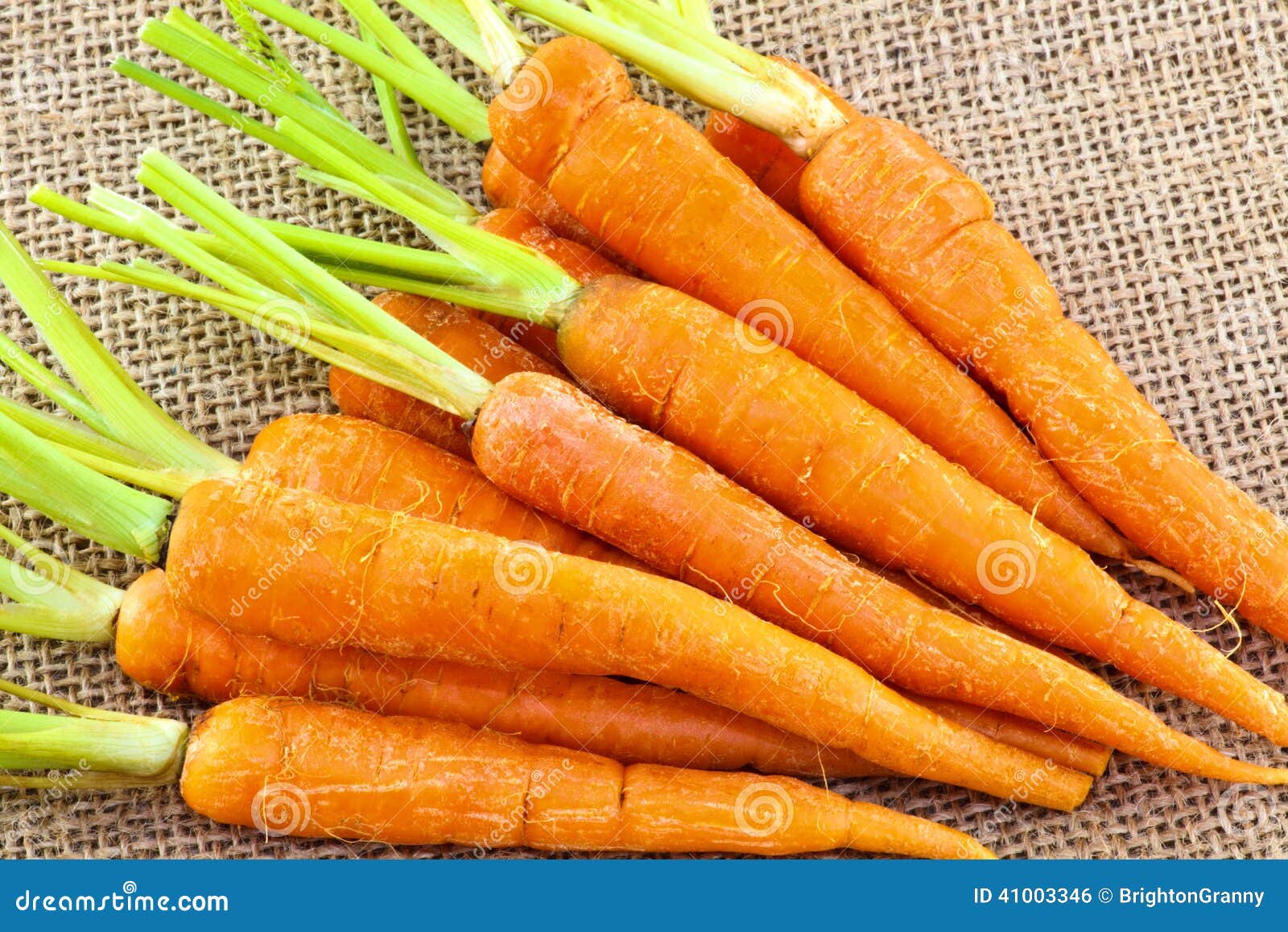 Fresh baby carrots stock photo. Image of clean, root 41003346