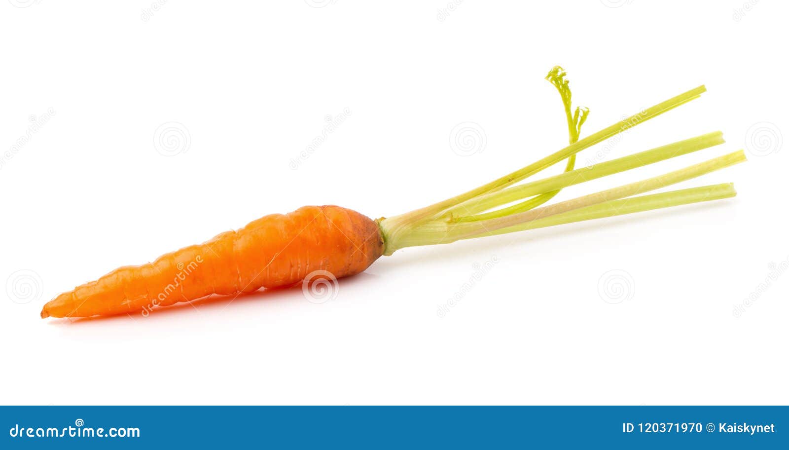 Fresh Baby Carrots Isolated on a White Background Stock Photo Image
