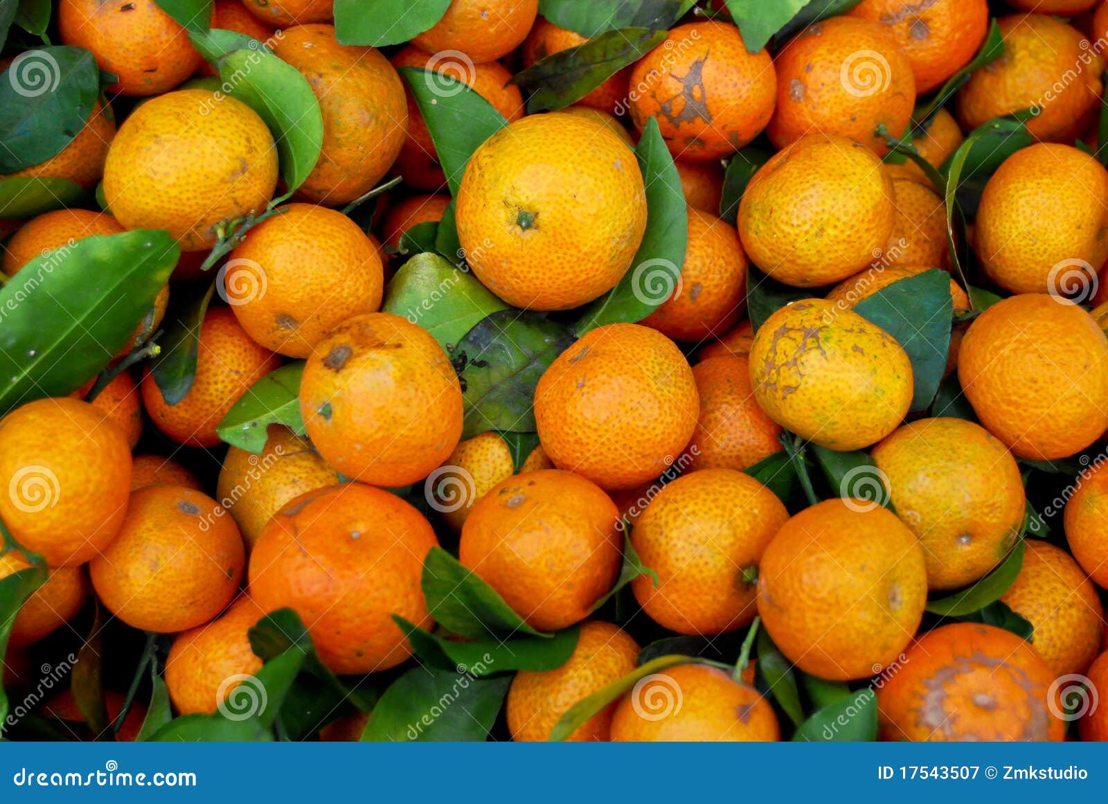 Fresh Baby Orange In Market Stock Image Image of color, diversity