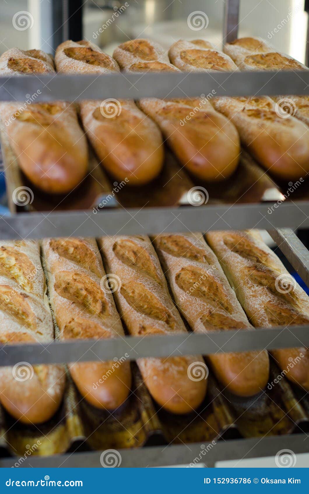Fresh Baked Baguettes Cooling on Racks in the Bakery Stock Photo
