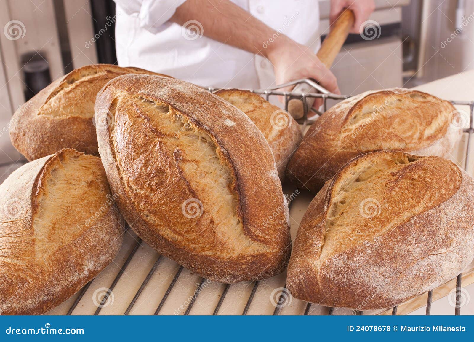 Fresh baked bread stock photo. Image of bakery, cloth 24078678