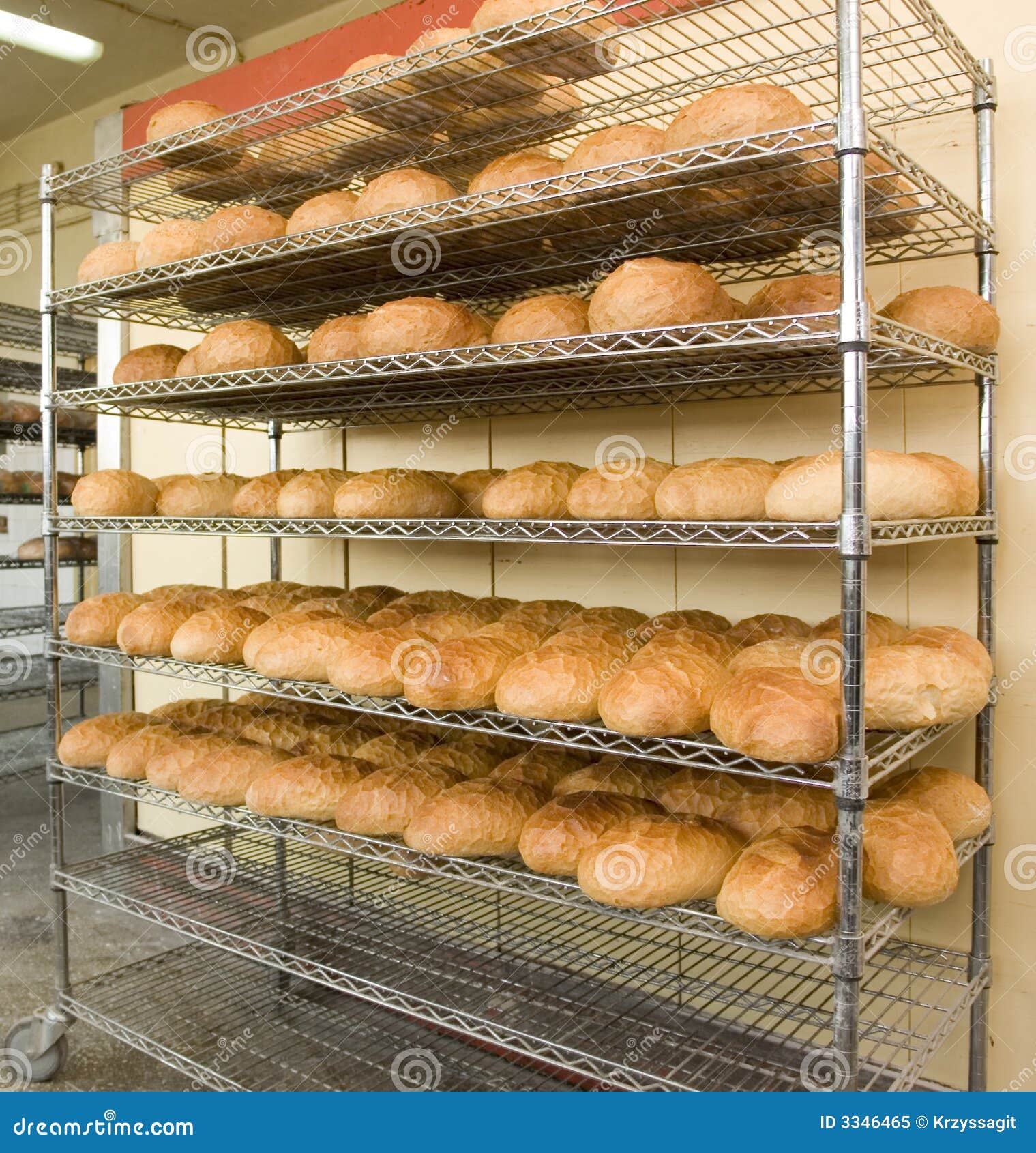 https://thumbs.dreamstime.com/z/fresh-baked-bread-rack-3346465.jpg