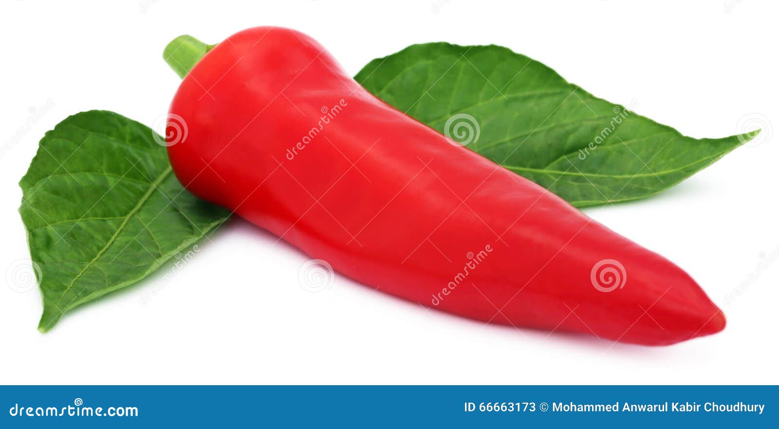 Fresh Banana Pepper with Leaves Stock Image Image of peppers, sweet