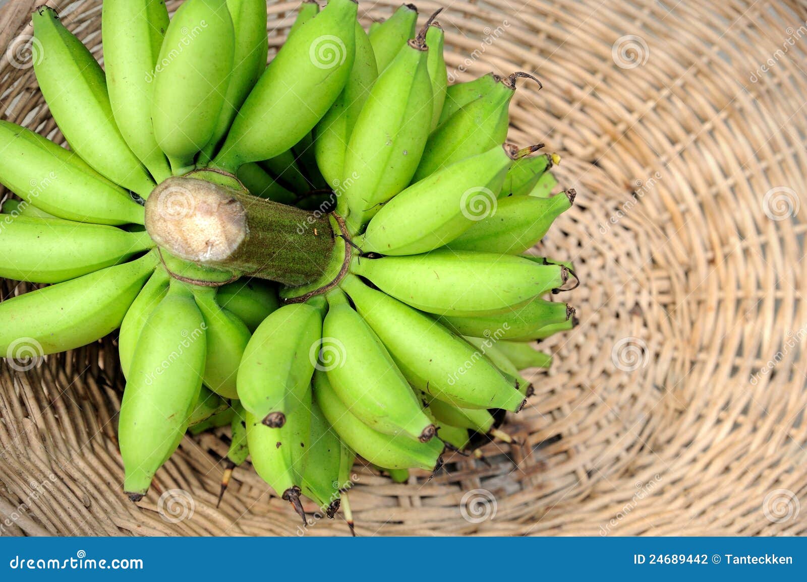 Fresh bananas stock photo. Image of group, breakfast 24689442