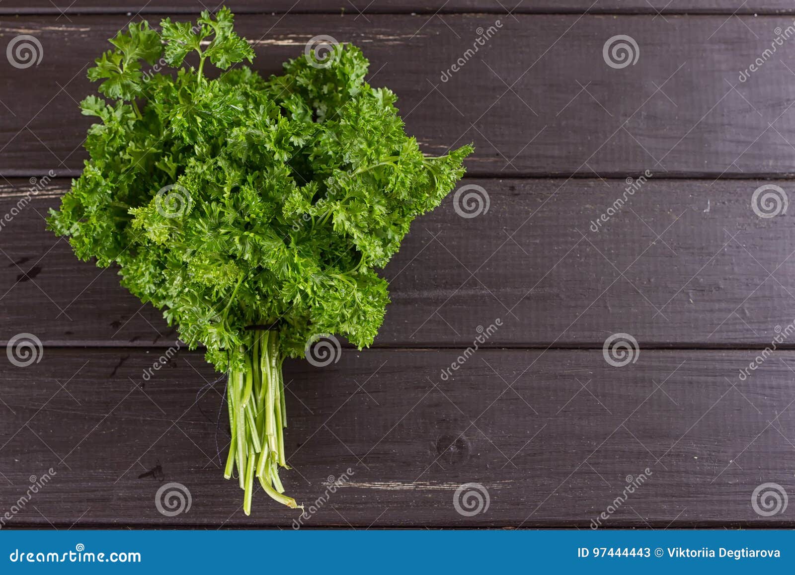 Fresh Basil Greens, Parsley on a Black Background Stock Image Image