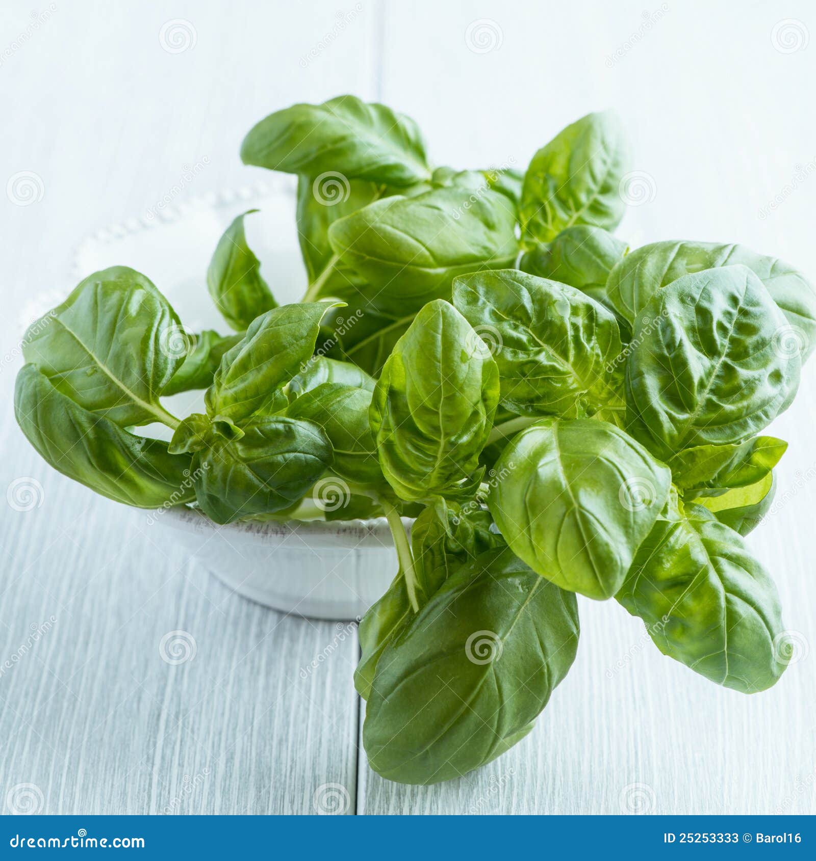 Fresh Basil on Kitchen Table Stock Image Image of food, wooden 25253333