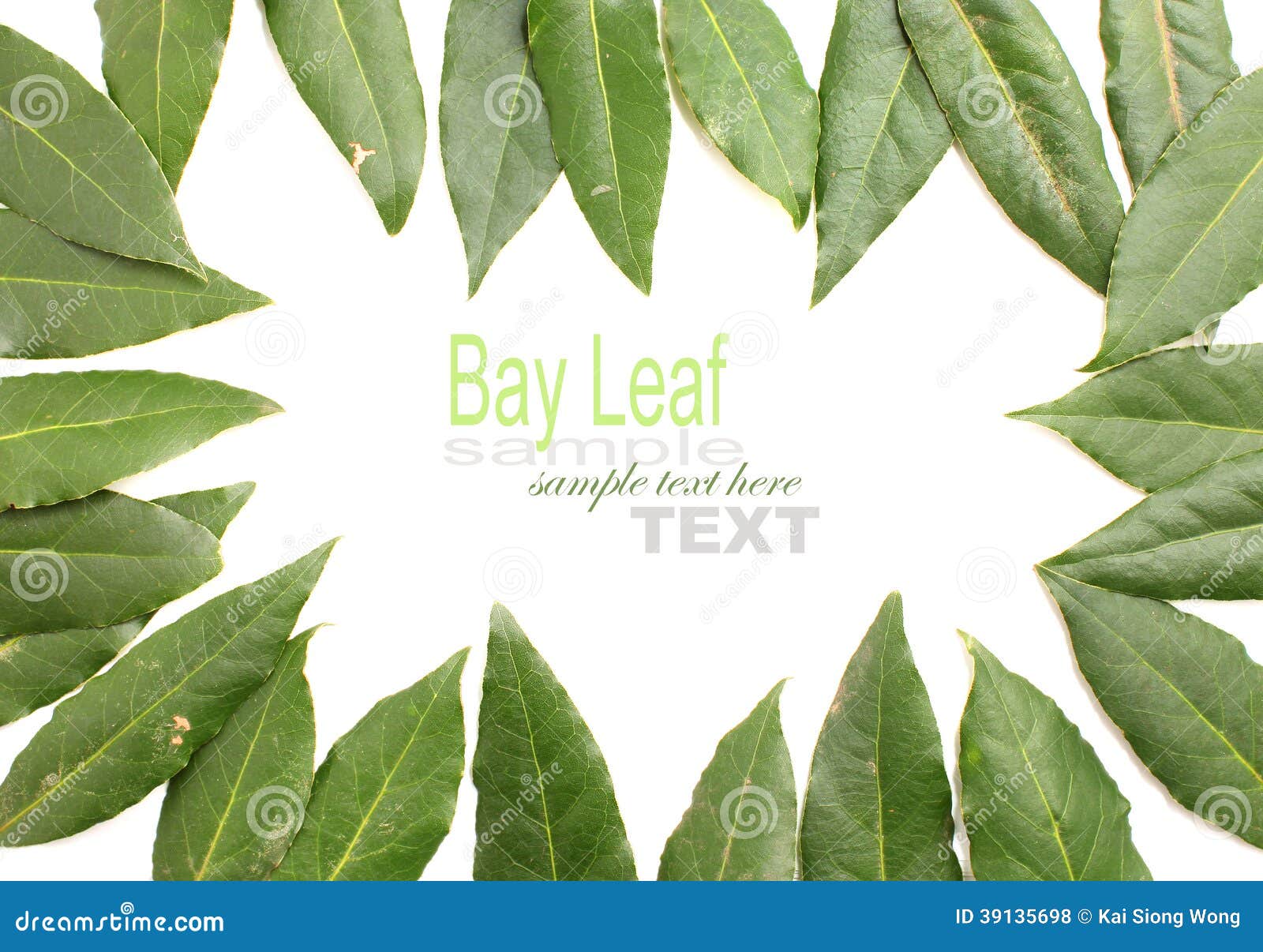 Fresh Bay Leaves stock photo. Image of color, kitchen 39135698