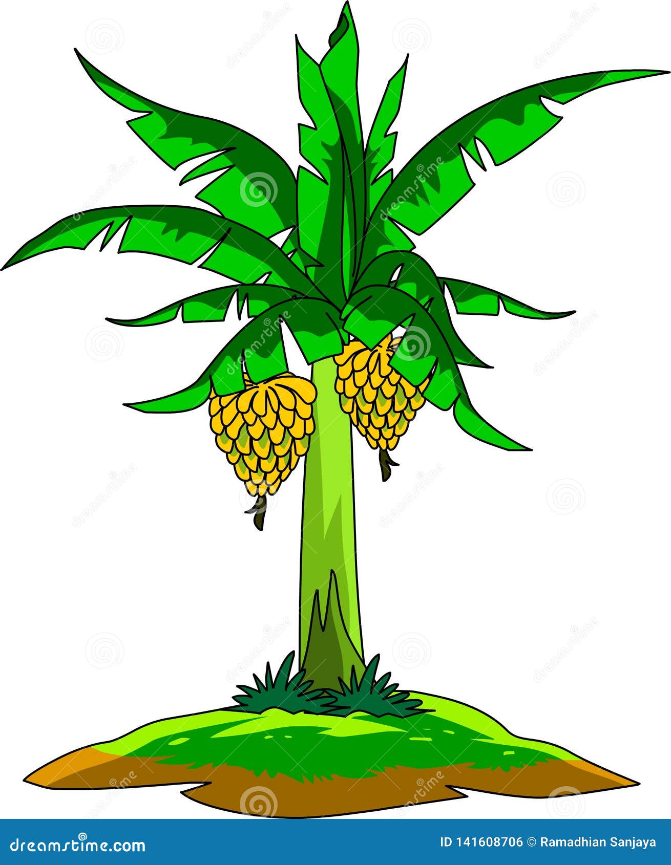 Banana Tree Stock Illustrations – 29,570 Banana Tree Stock Illustrations,  Vectors & Clipart - Dreamstime