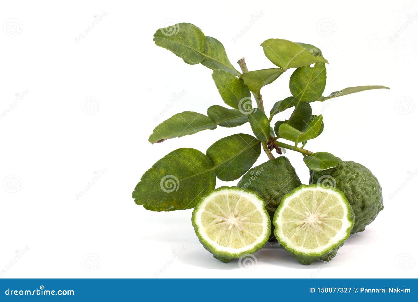 Fresh Bergamot Fruit With Leaf Is A Vegetable And Herb Of Thailand Used As An Ingredient In Cooking And Herbal Stock Image Image Of Agriculture Herbal 150077327