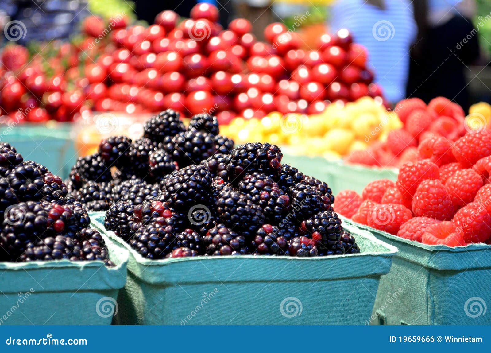 fresh berries at farmers market