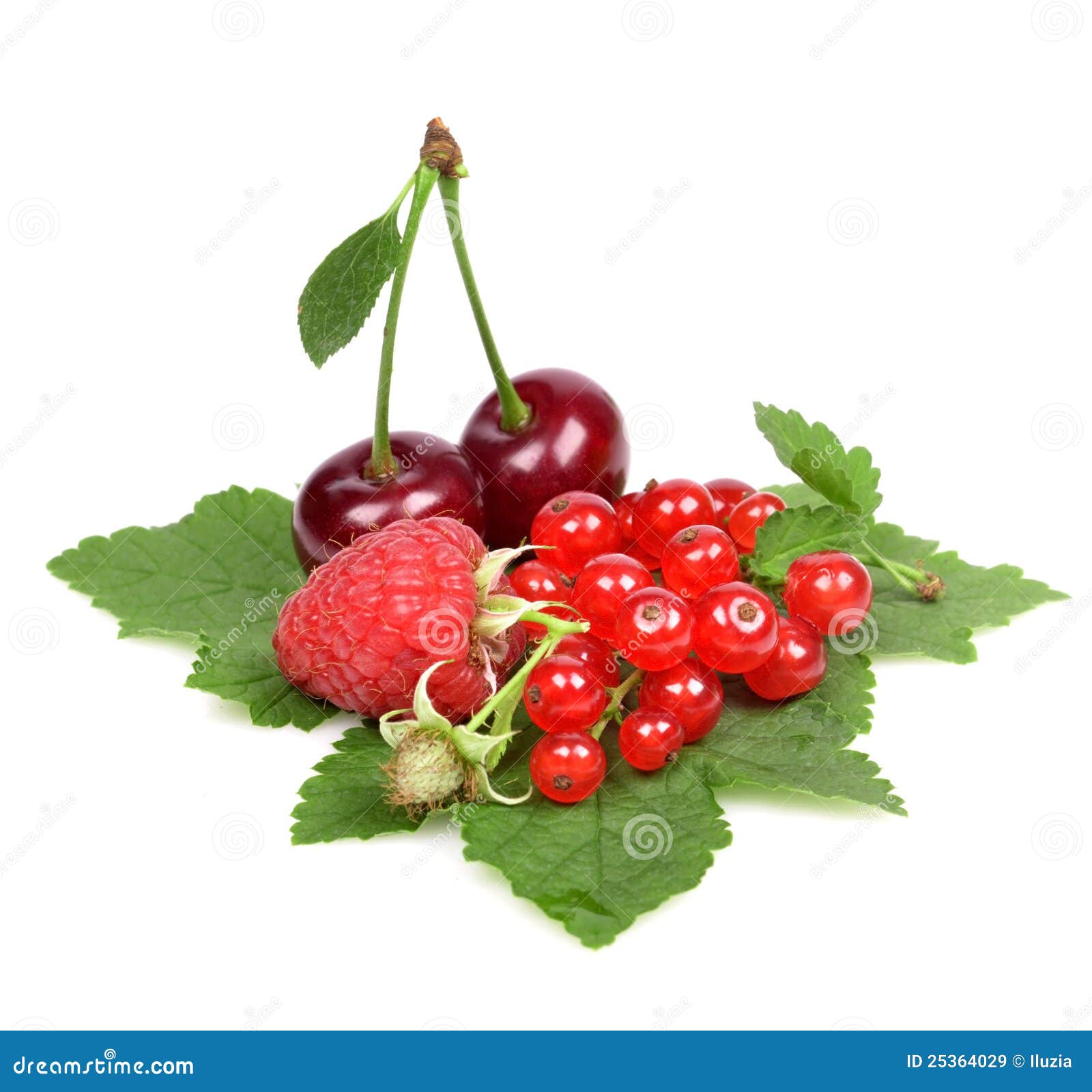 Fresh berries stock image. Image of small, healthy, berries 25364029