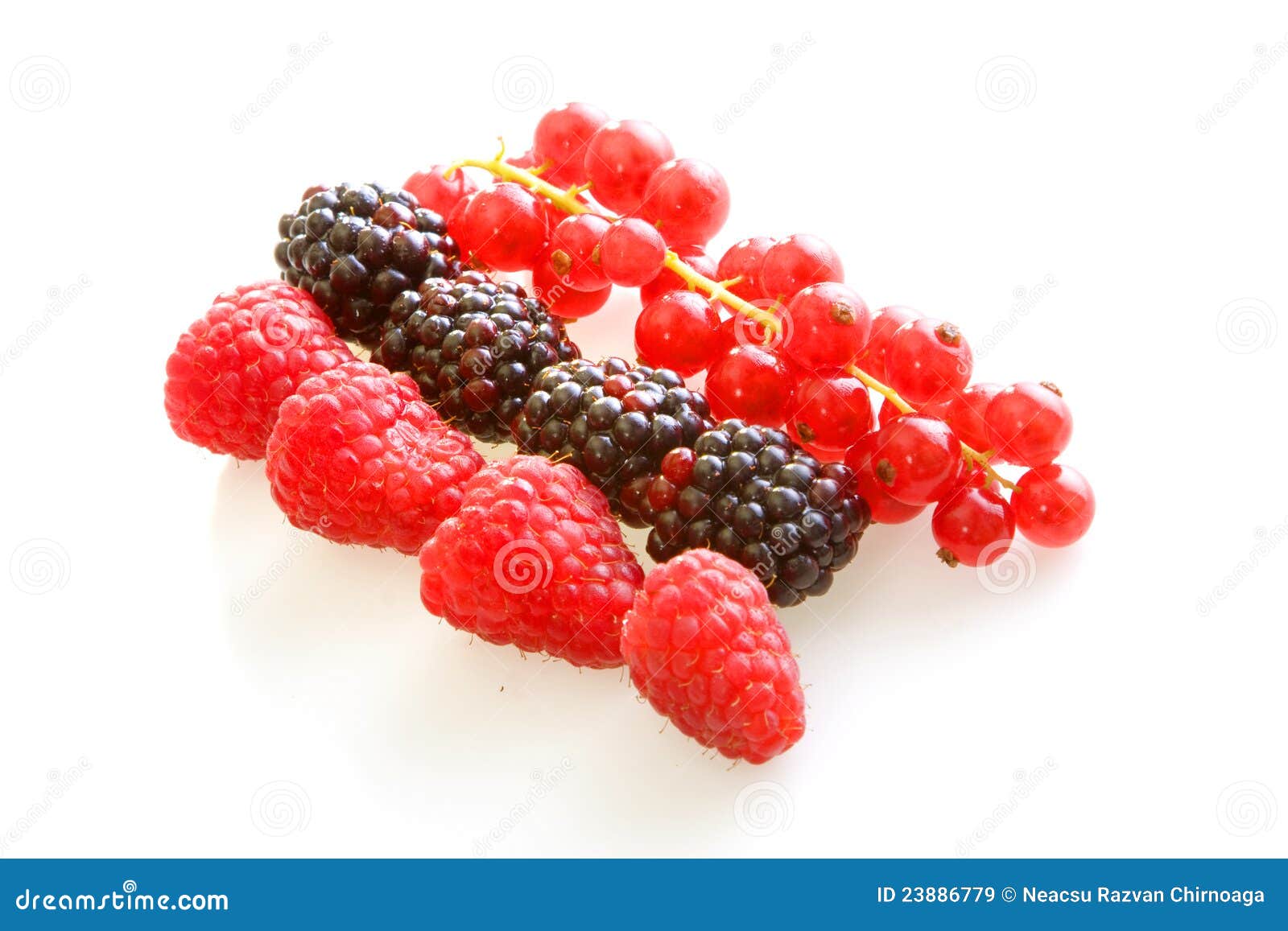 Fresh berry fruits stock image. Image of antioxidant 23886779