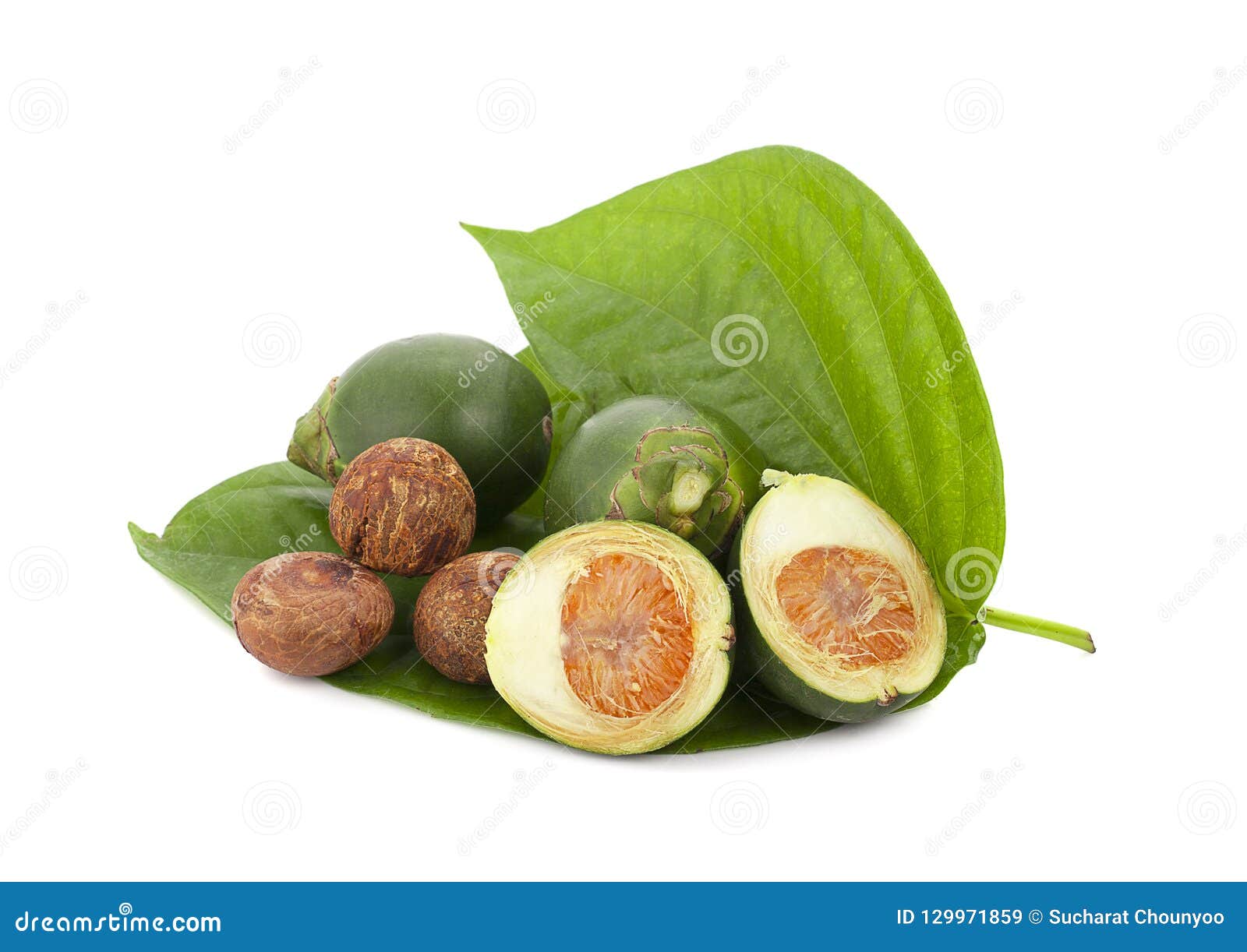 betel nut leaf