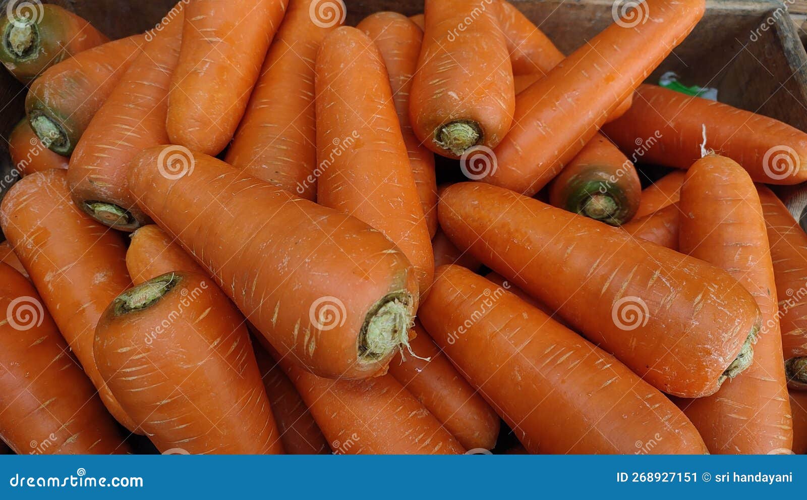 Fresh and big carrots stock image. Image of dessert 268927151