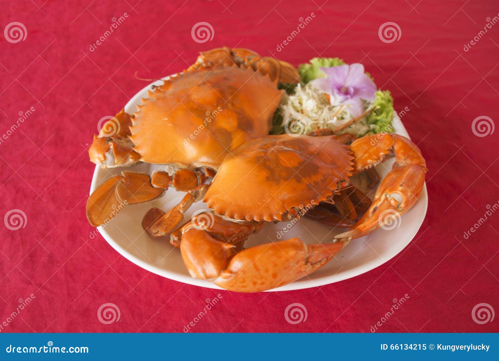 Fresh Big steam crab stock image. Image of crab, restaurant 66134215