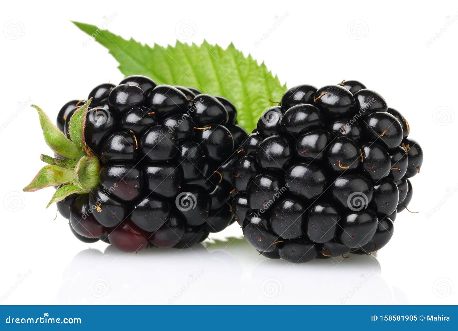 Fresh Blackberries with Leaf Isolated Stock Image Image of healthy, bramble 158581905