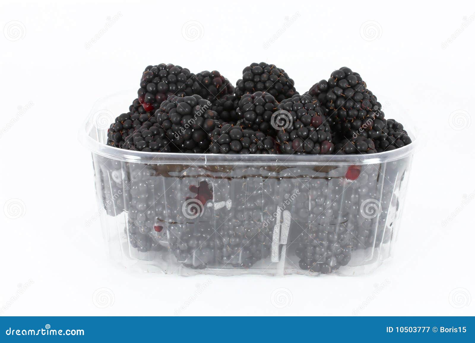 Fresh Blackberries in Plastic Container Stock Image Image of